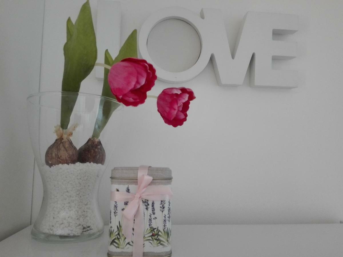 Apartment - Ivo Čižići Kültér fotó